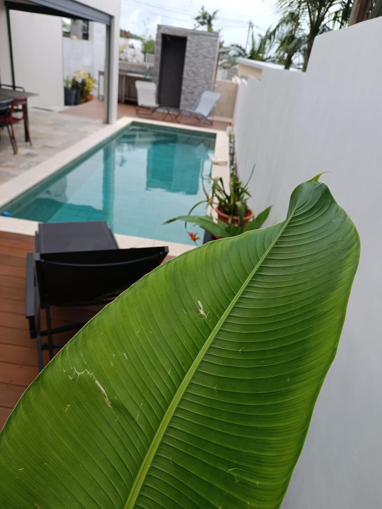 Villa O'Lhaya Piscine Pivee سانت-جوزيف المظهر الخارجي الصورة