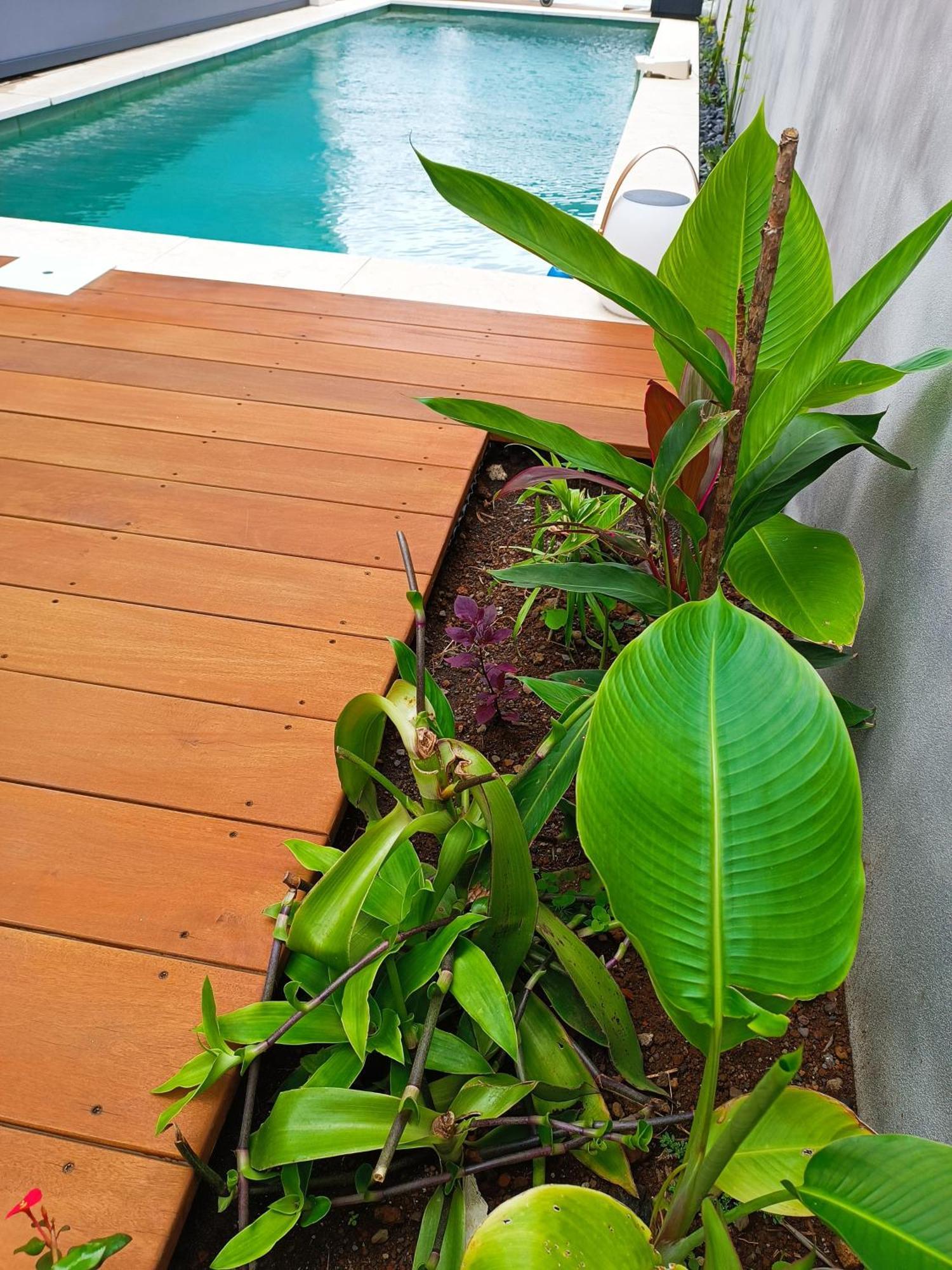 Villa O'Lhaya Piscine Pivee سانت-جوزيف المظهر الخارجي الصورة